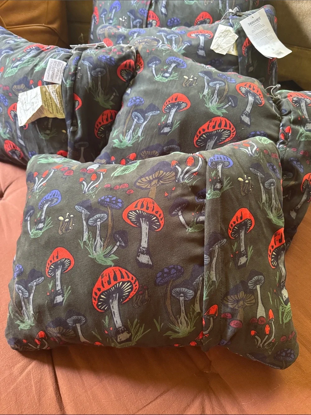 Thermarest pillow compact camping Fun Guy mushrooms medium NEW NWOT